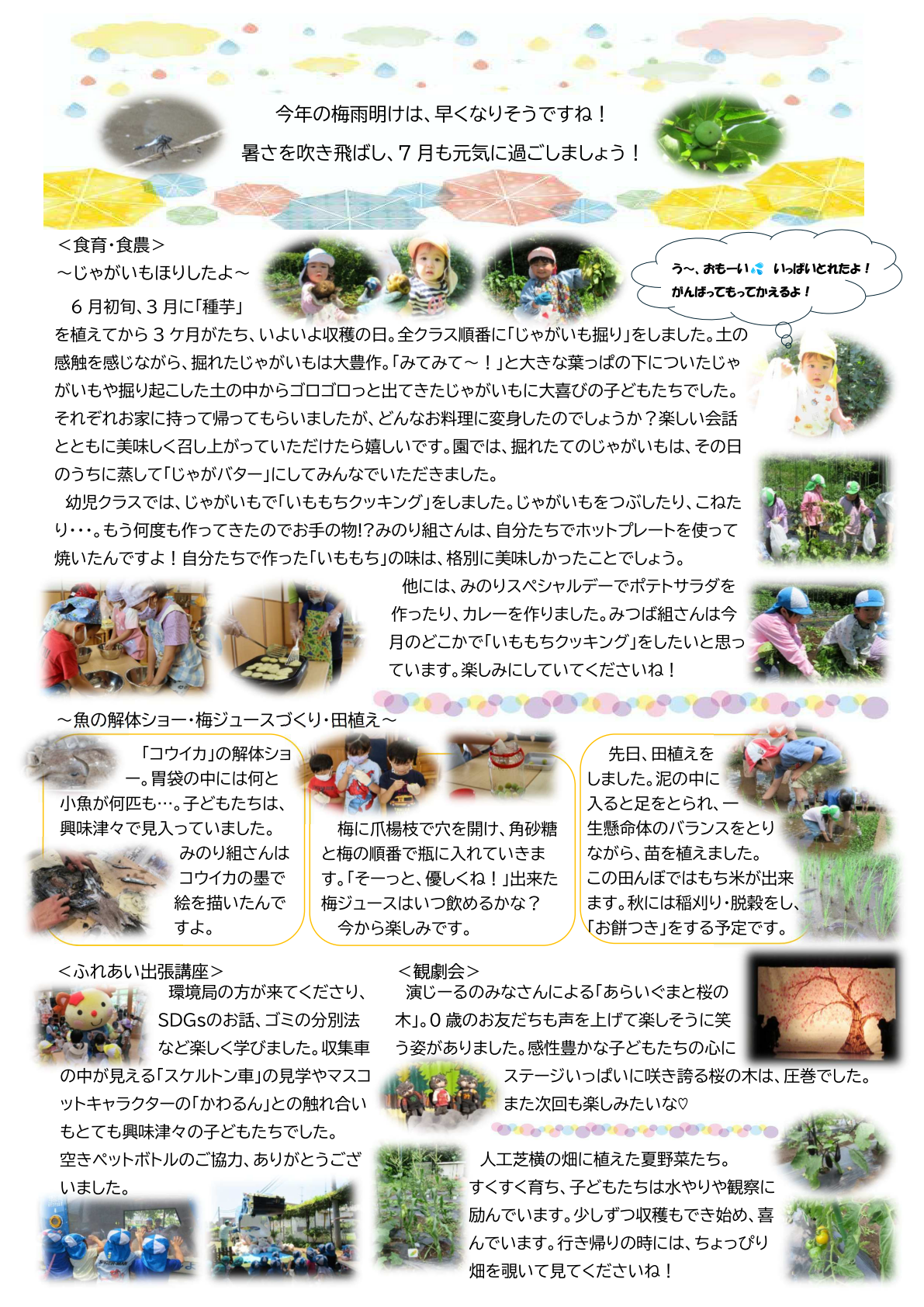 いっぽだより