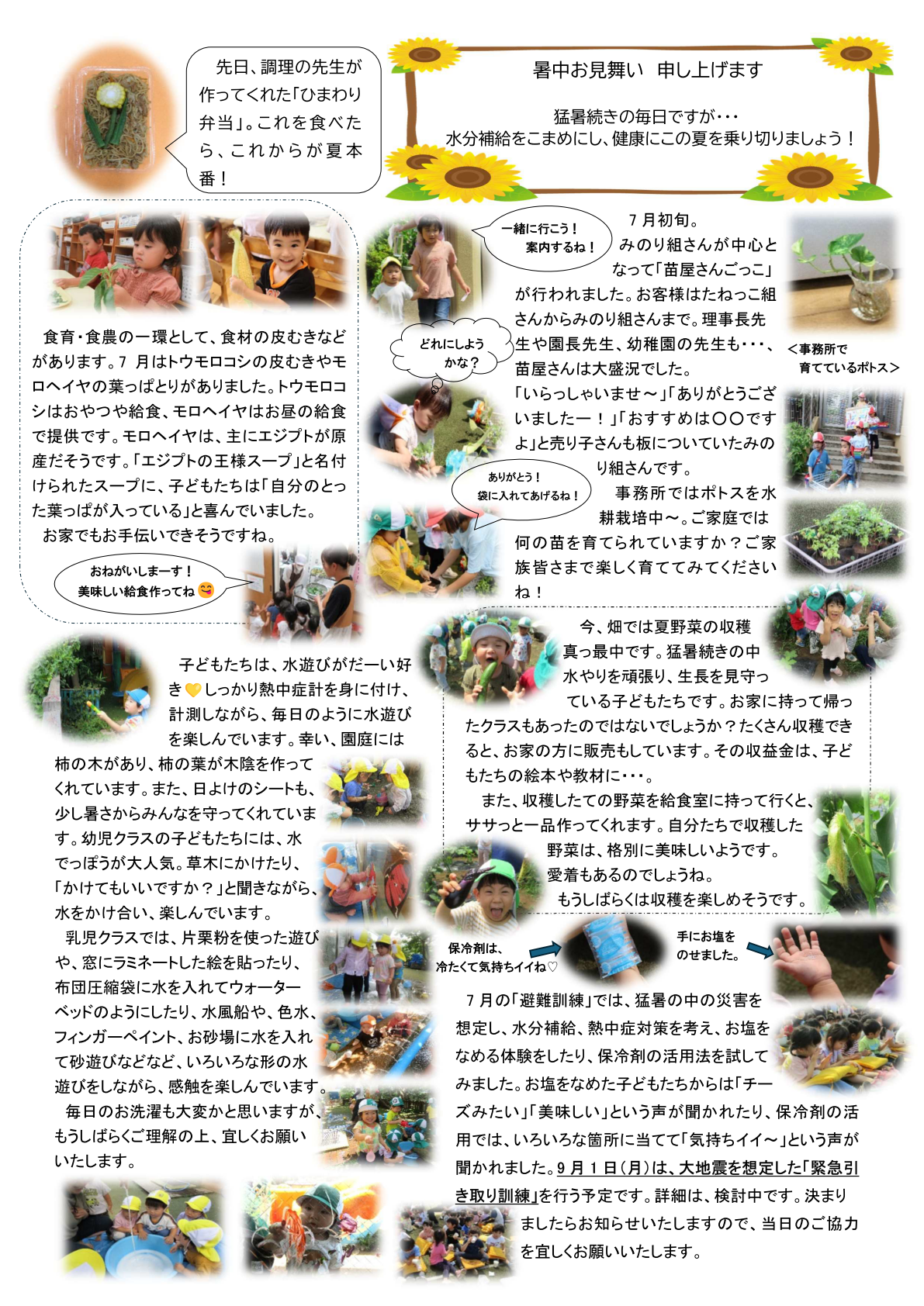 いっぽだより