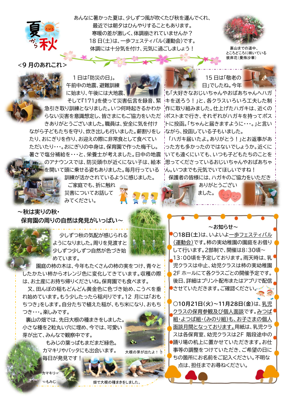 いっぽだより